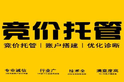 行业领先企业的SEM推广优化经验分享